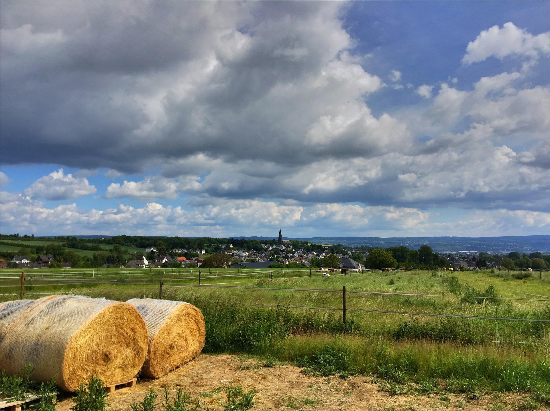 Rhineland-Palatinate - a land flowing with wine – image 1