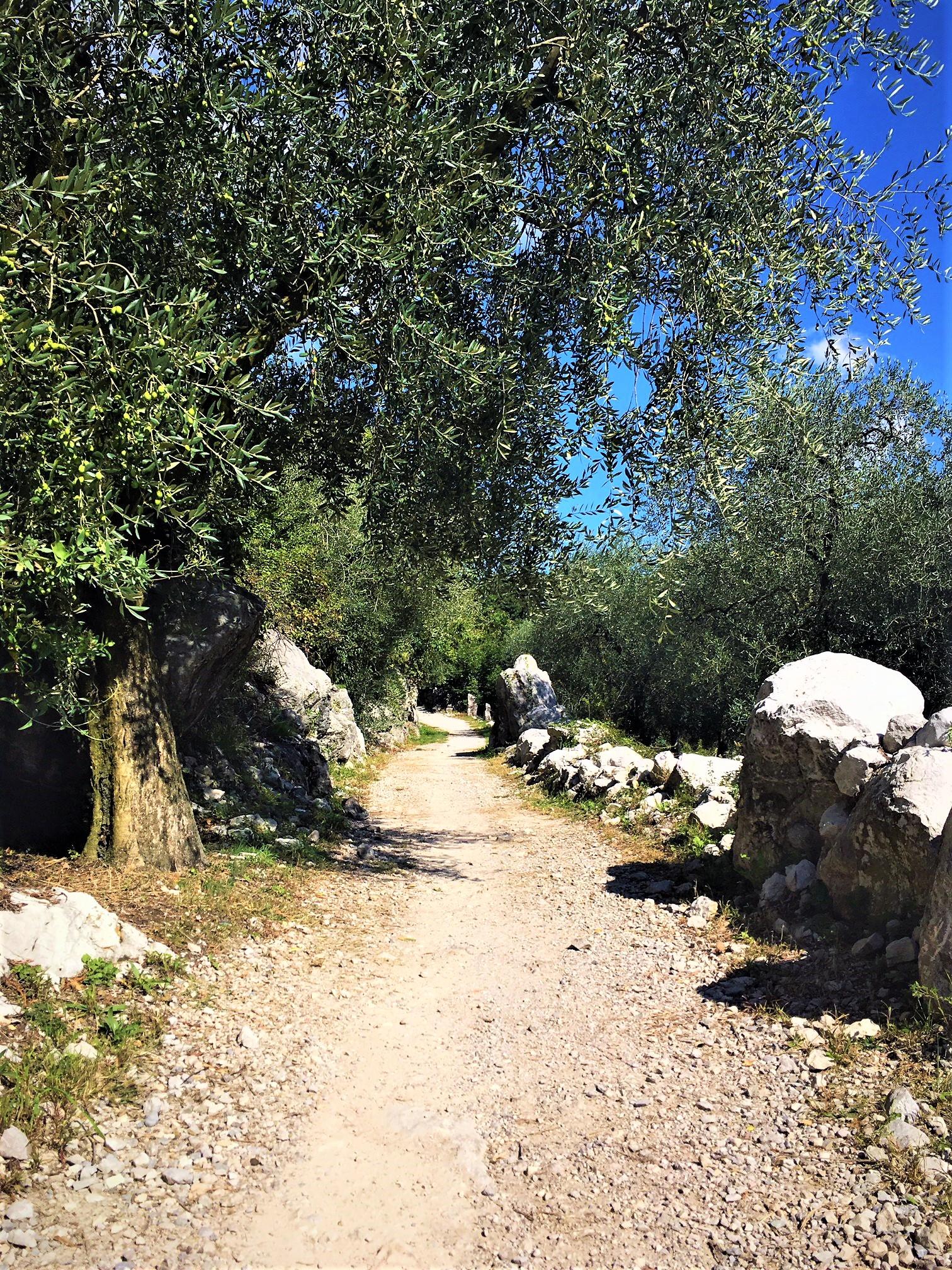 Endless bike routes along the Garda – image 3