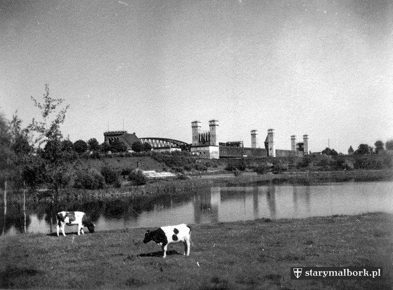 Rodzinna wycieczka do Malborka – zdjęcie 3