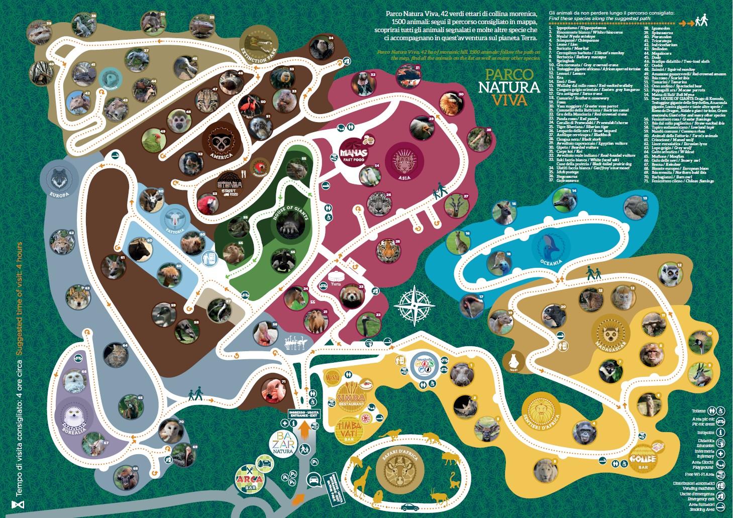 Holidays among the dinosaurs - Camping Piani di Clodia – image 1