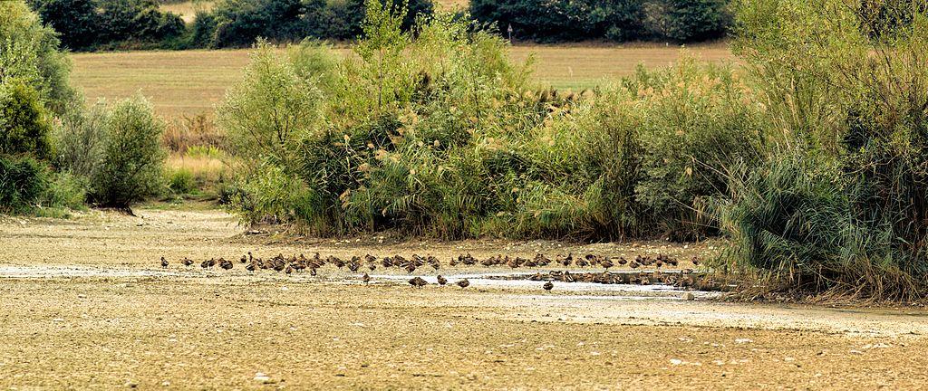 Lago di Bilancino - cud Toskanii – zdjęcie 2