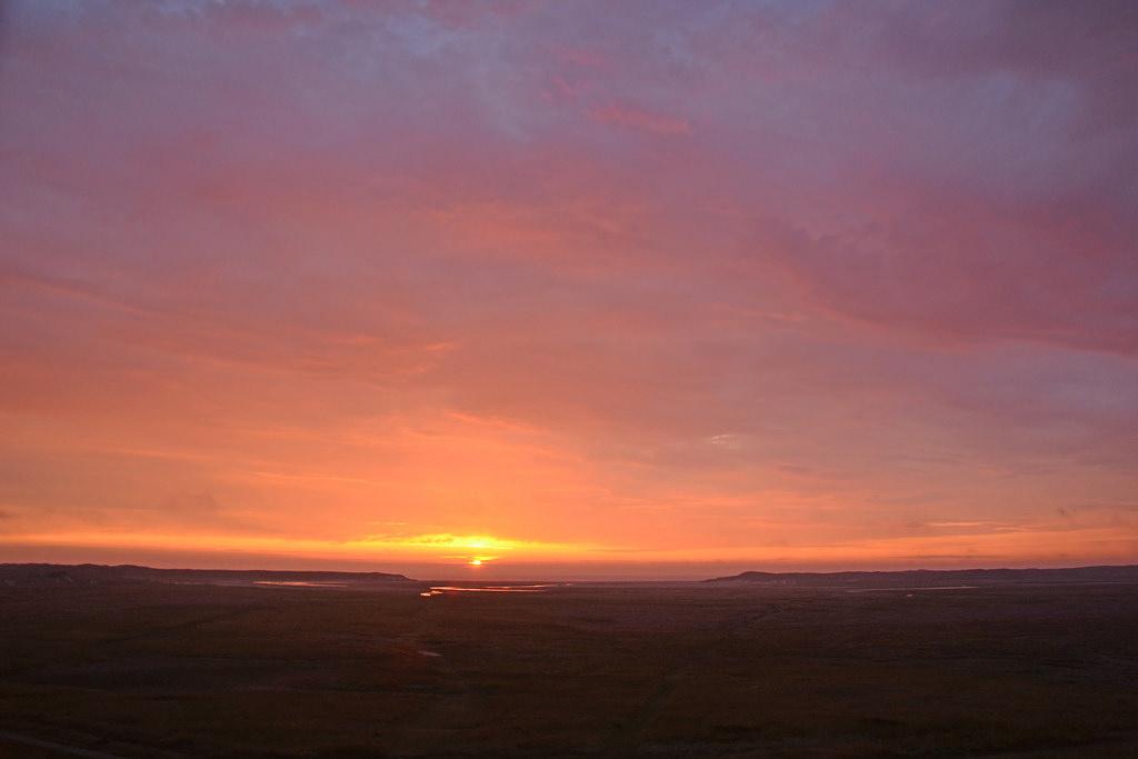 Texel - wyspa królików – zdjęcie 2