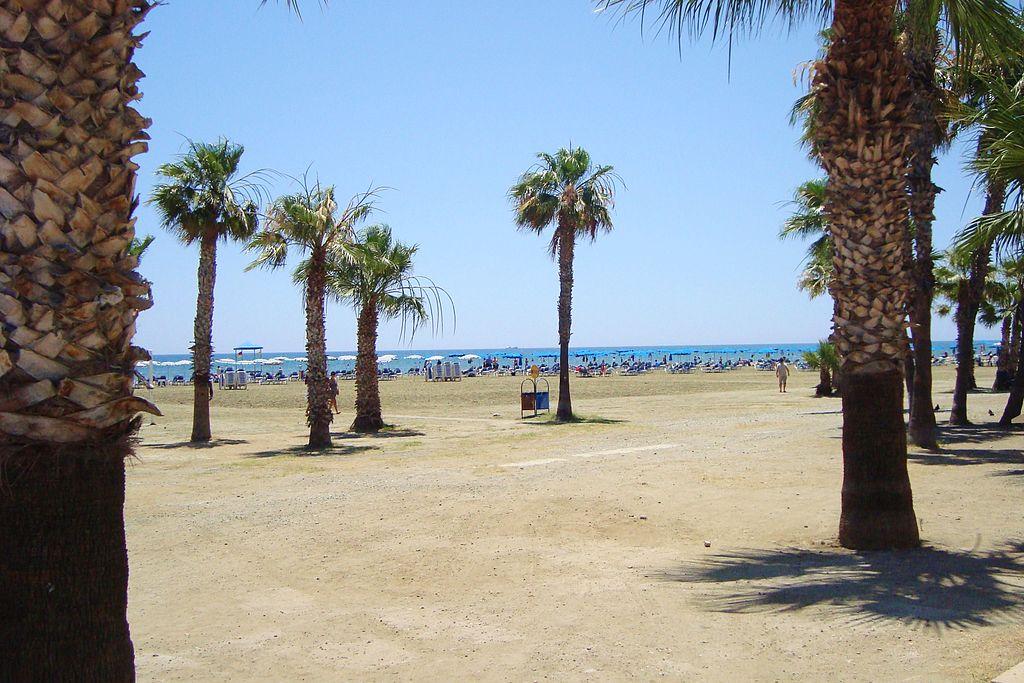 A mosque overlooking the flamingos – image 2