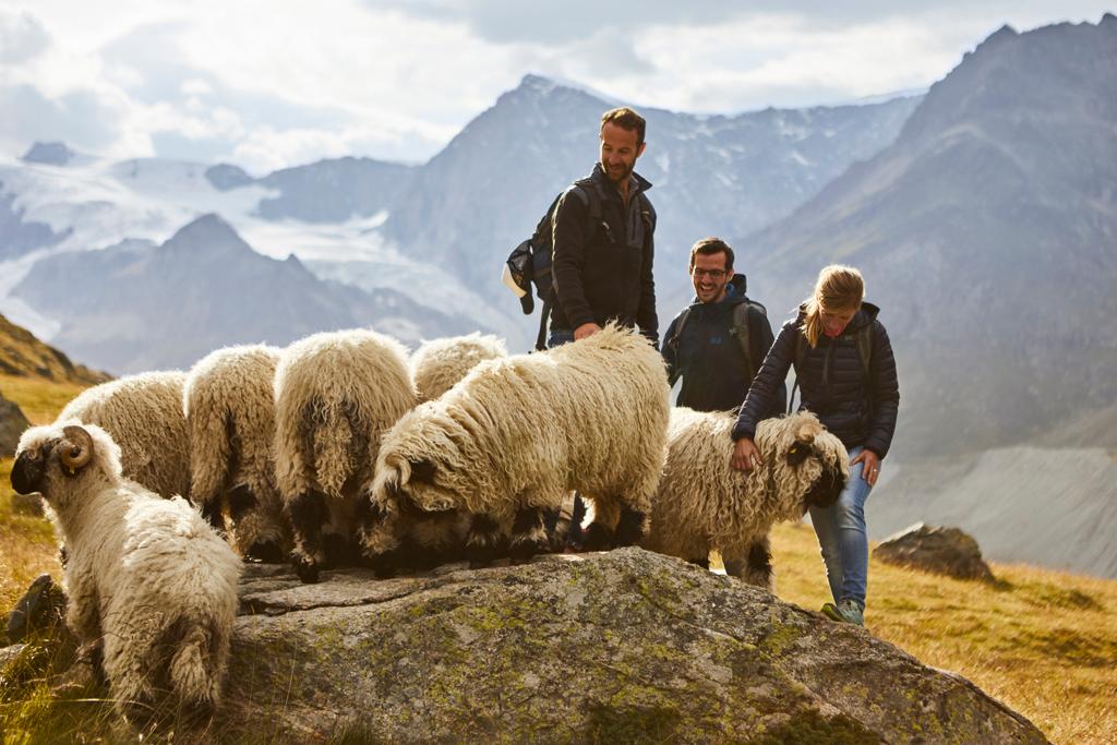 Switzerland by train – image 1