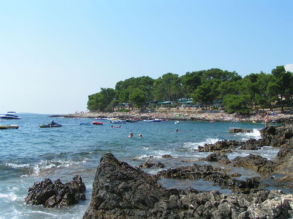 The smile of a dolphin in Mali Lošinj – image 1