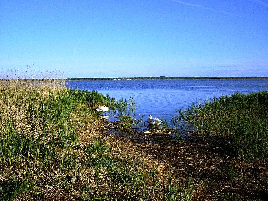 Wandering with the dunes - Łeba – image 2