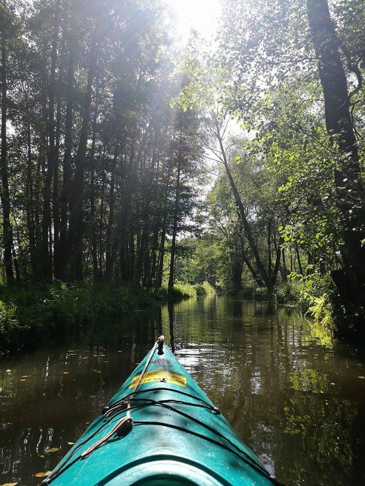 Jak urozmaicić podróże? Geocaching jest na pewno warty uwagi – zdjęcie 4