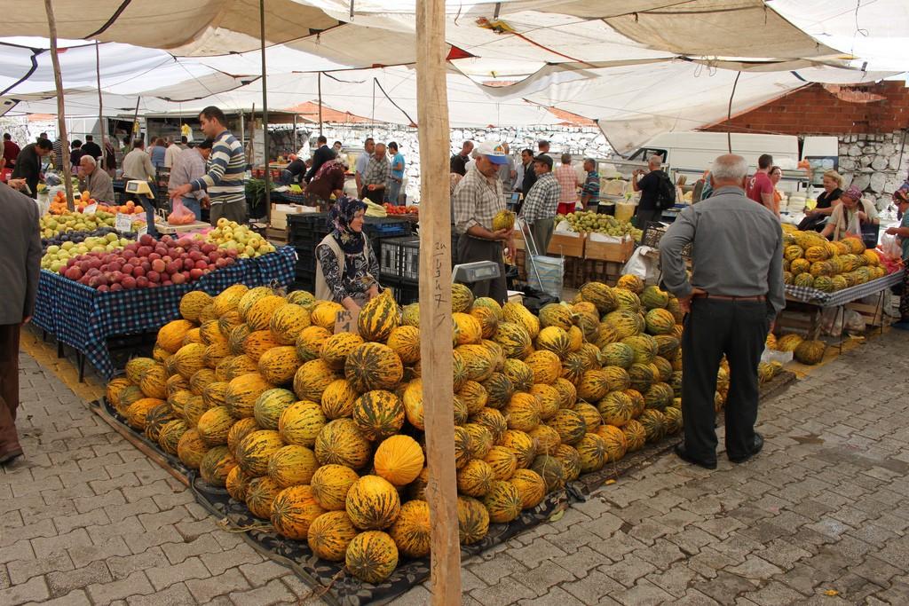 Ptasie demony Fethiye – zdjęcie 4