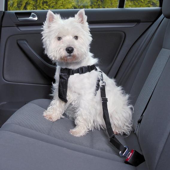 How to transport a dog or cat in the car? - useful accessories – image 1