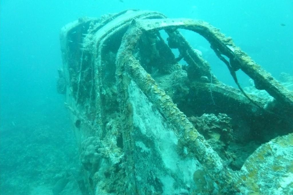 Diving in Palau – image 1