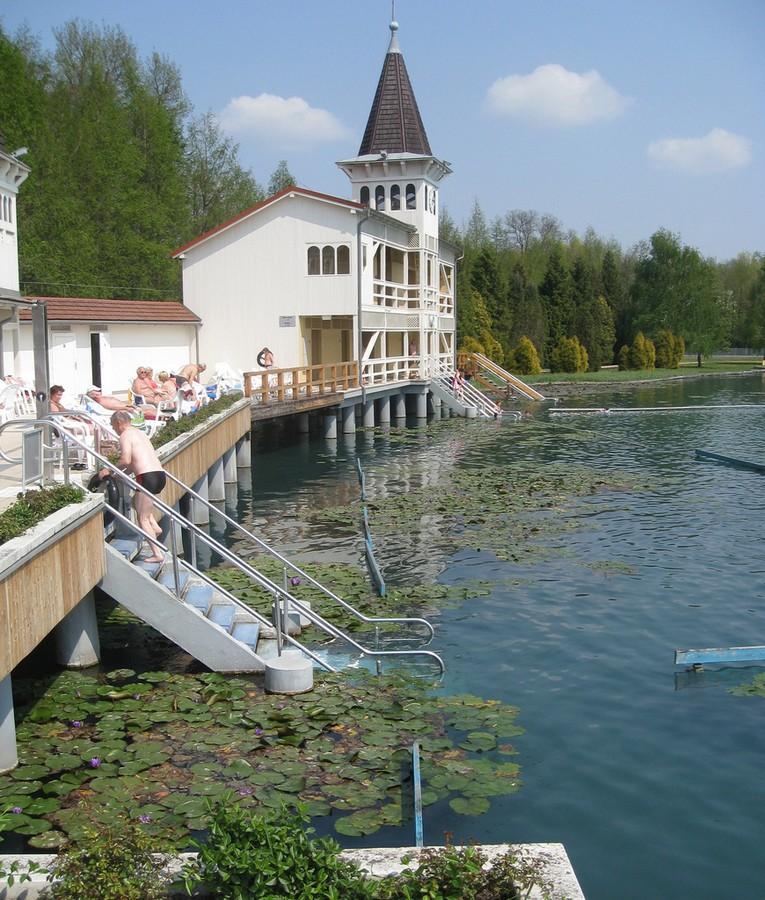 Heviz - węgierskie wino i indyjskie lotosy – zdjęcie 3