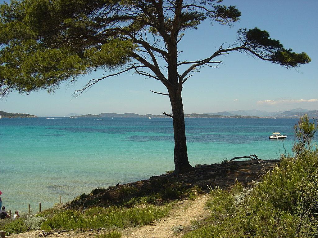 Francuski półksiężyc – Île de Porquerolles – zdjęcie 1