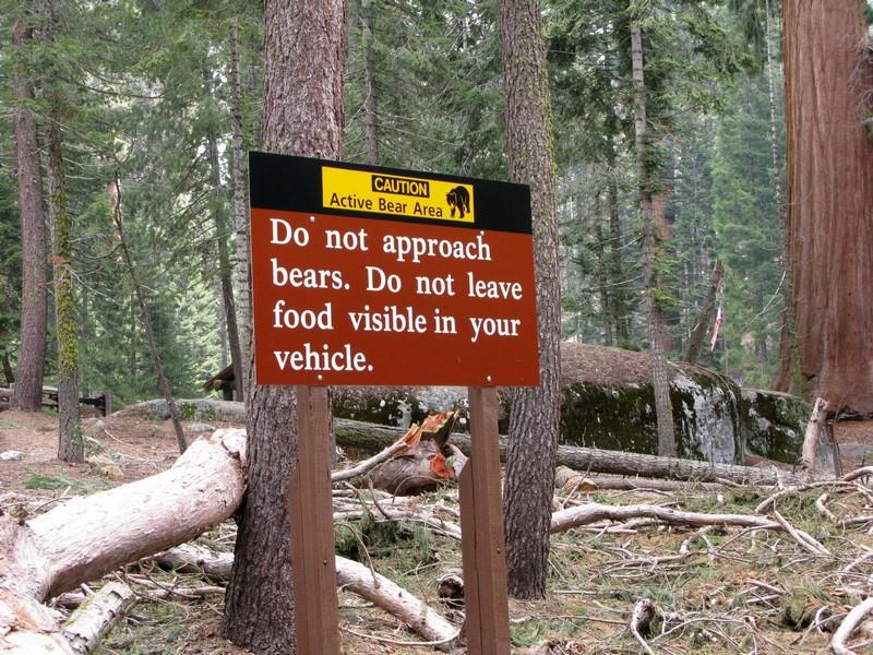 Ameryka Samochodem cz. 8/10 - Sequoia National Park – zdjęcie 2