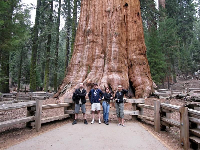 Ameryka Samochodem cz. 8/10 - Sequoia National Park – zdjęcie 3