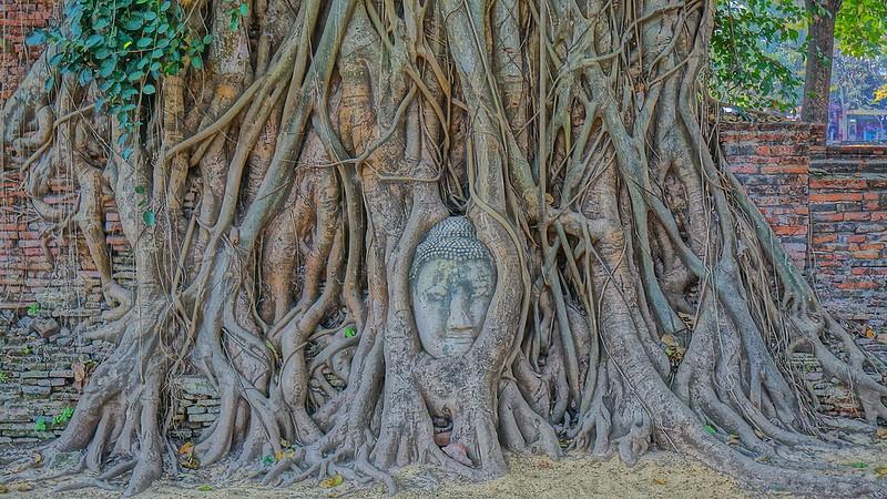 Ayutthaya - the historical capital of Thailand – image 2