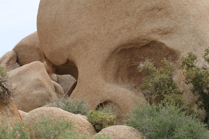 America by car, part 4/10 - Joshua Tree Park – image 4