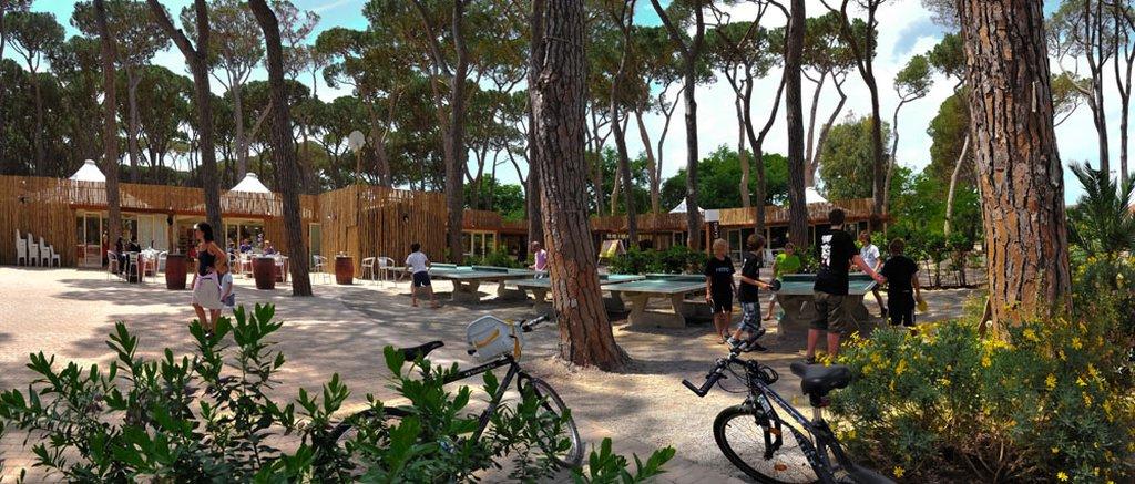 On the Etruscan Coast – image 3