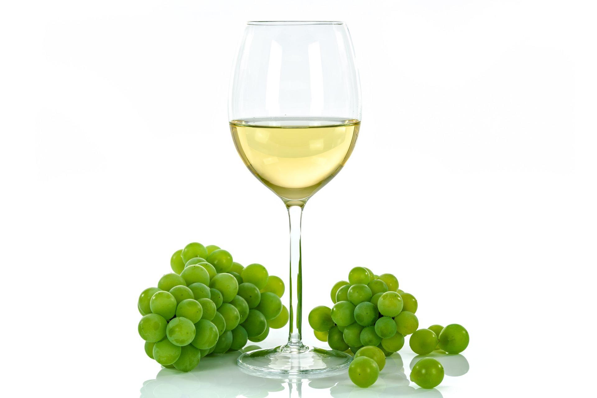 Wine traditions and flavors of Abruzzo – image 3