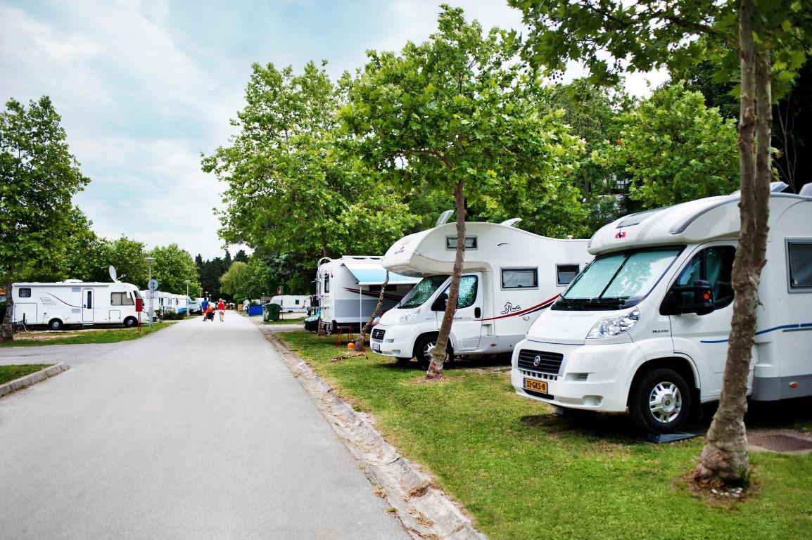 Sava - Camping Lucija - holidays in Slovenia – image 2