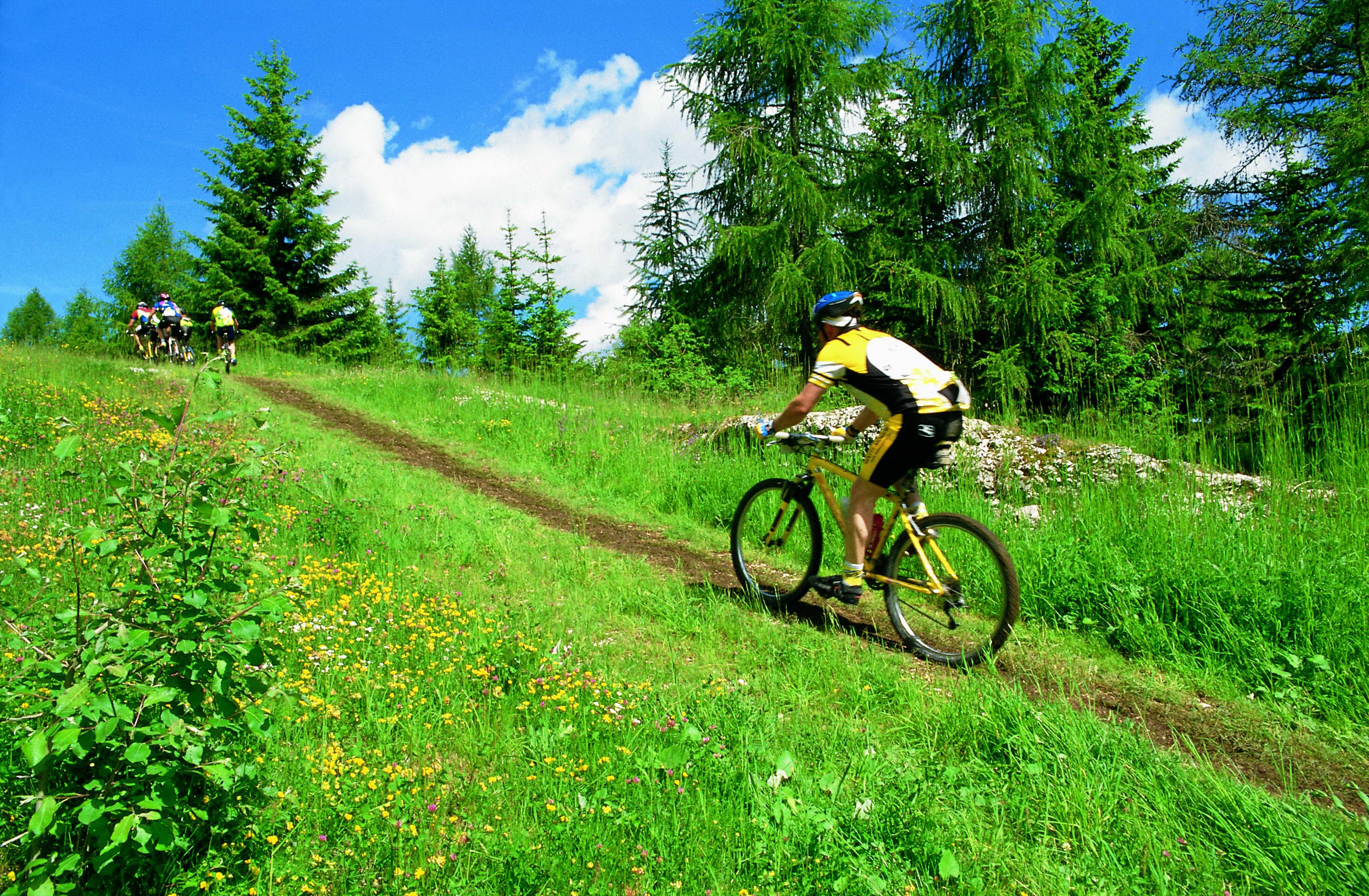 Camping Al Sole - a dream vacation among nature and sport – image 1