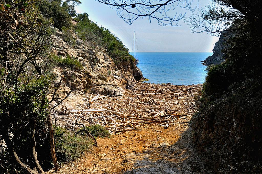 Francuski półksiężyc – Île de Porquerolles – zdjęcie 3