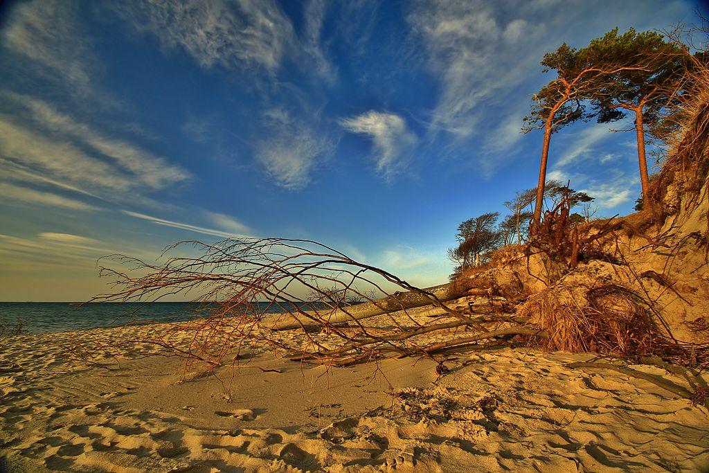 Holidays on a German beach – image 4
