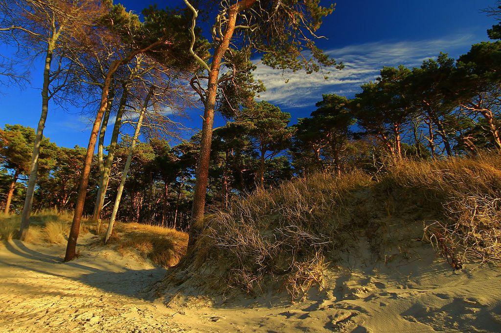 Holidays on a German beach – image 3