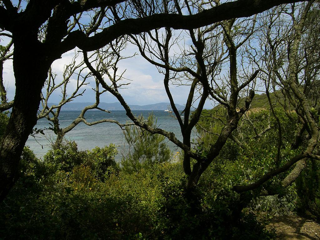 Francuski półksiężyc – Île de Porquerolles – zdjęcie 2