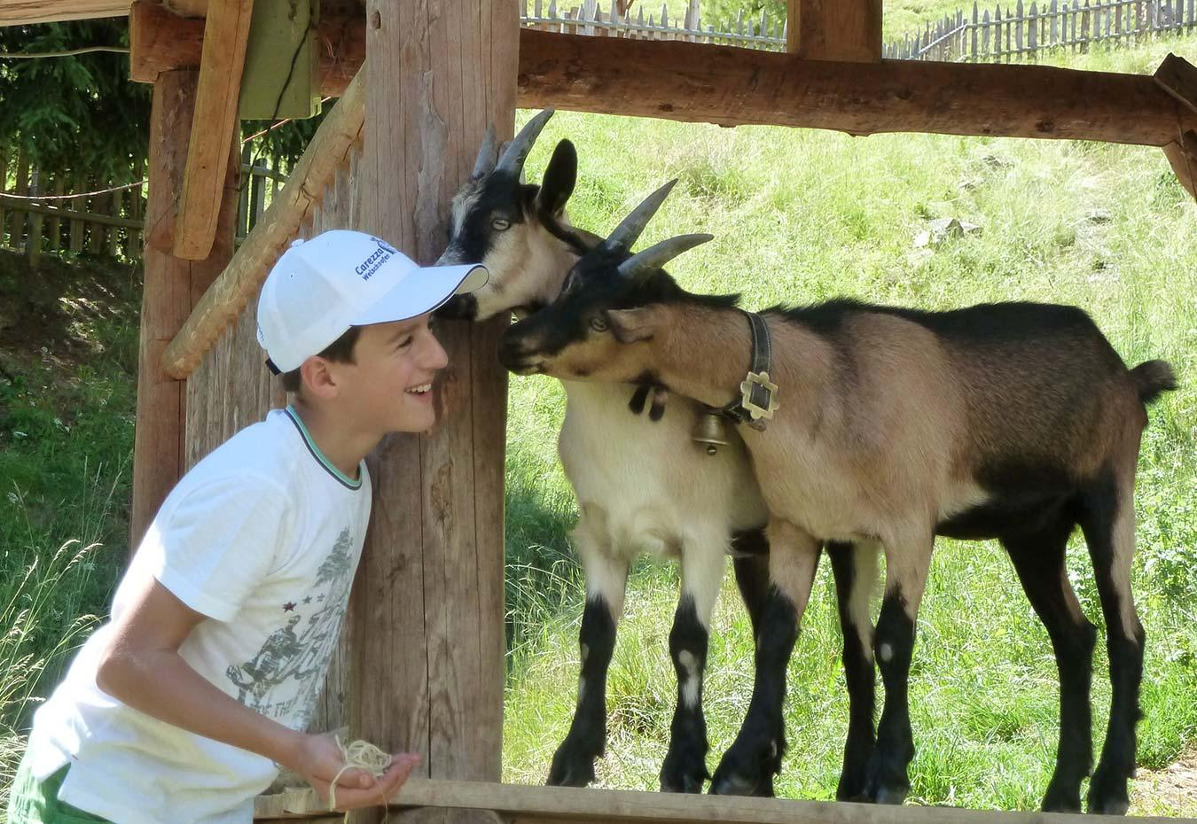 The best campsites for families with children in Italy - part 1 – image 2