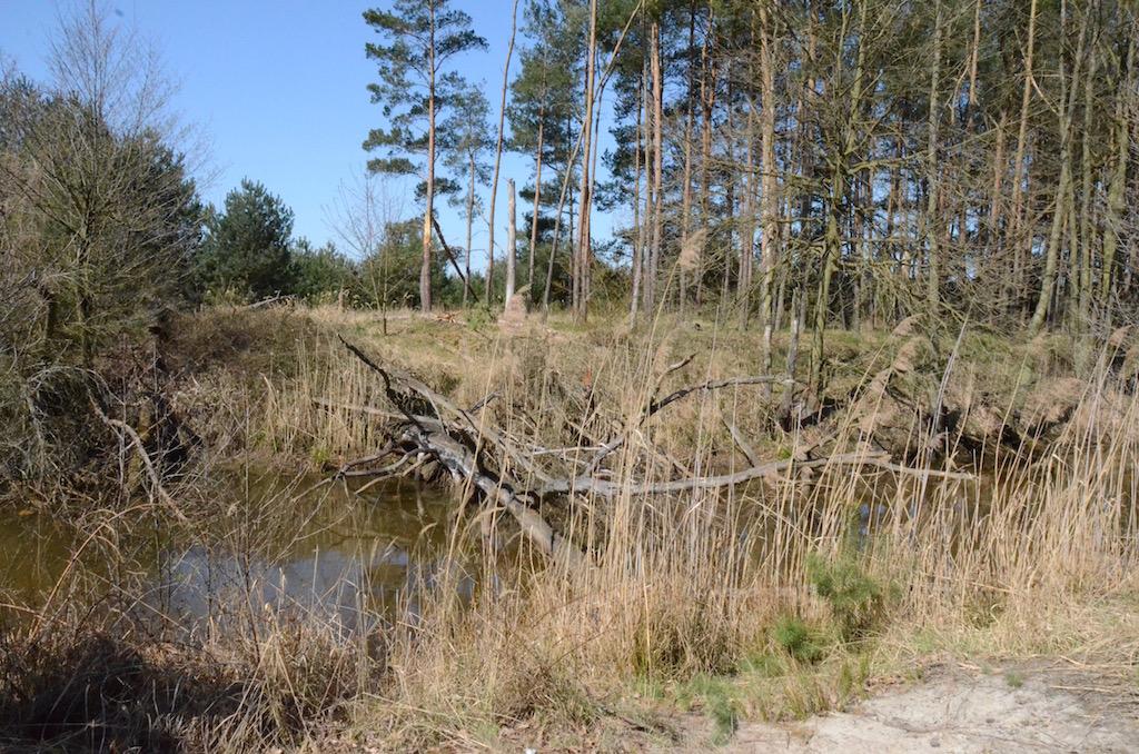Stawy Milickie - weekend in Wielkopolska – image 1