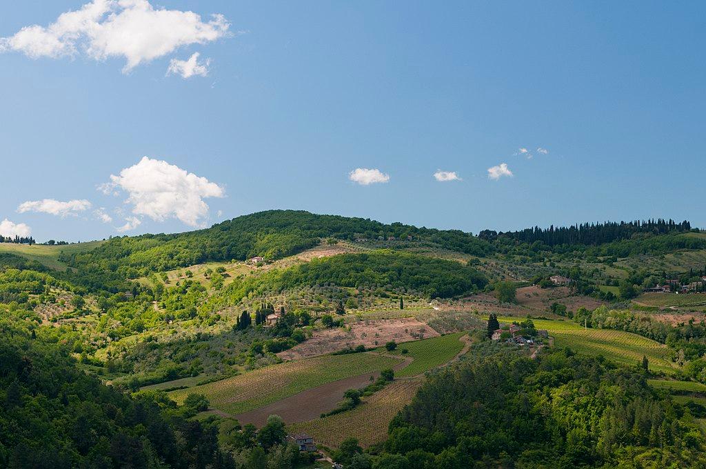 Lago di Bilancino - cud Toskanii – zdjęcie 4