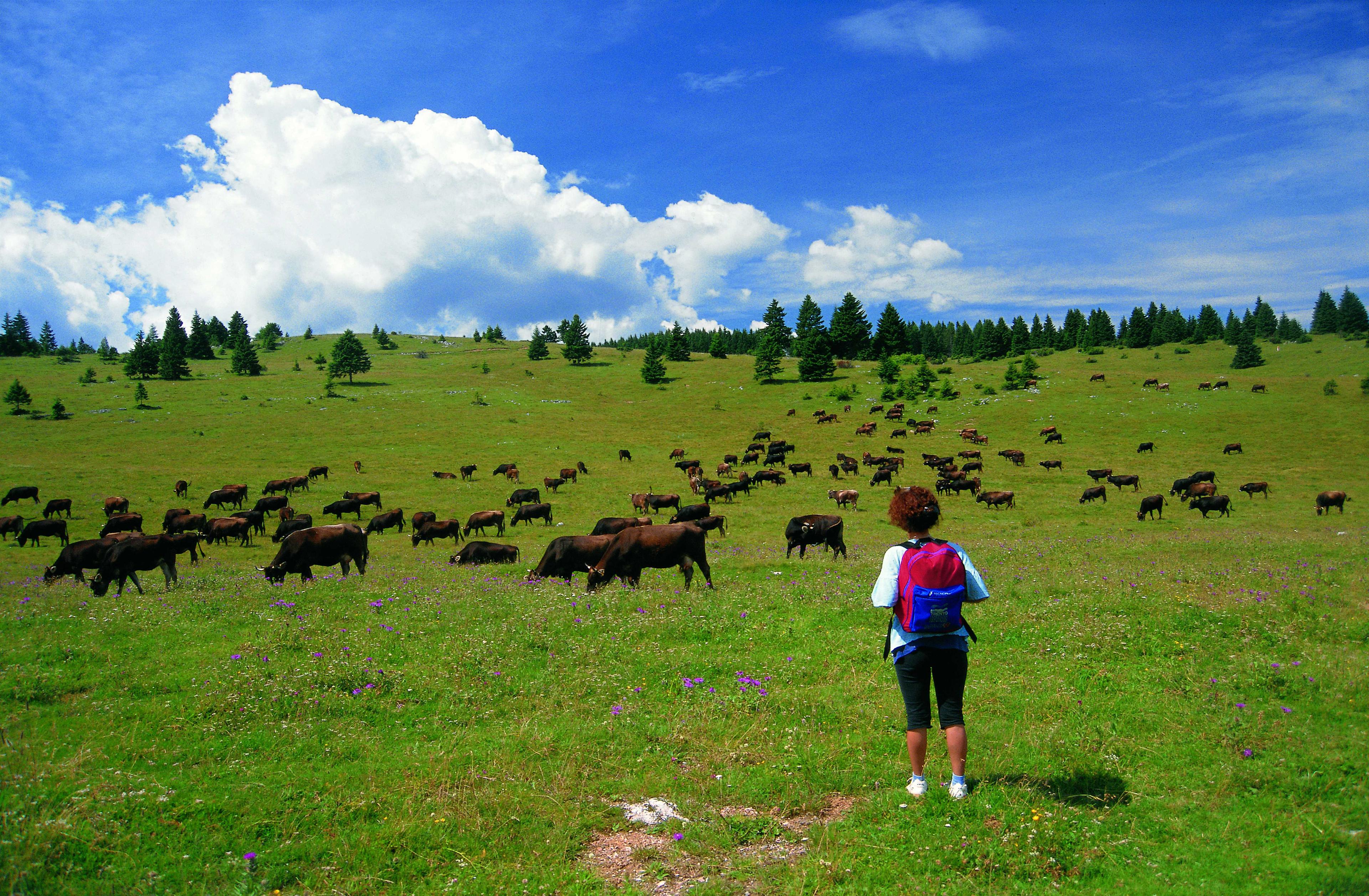 Camping Al Sole - a dream vacation among nature and sport – image 4