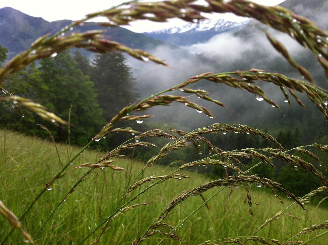 Zell am See - an alpine fairy tale – image 2