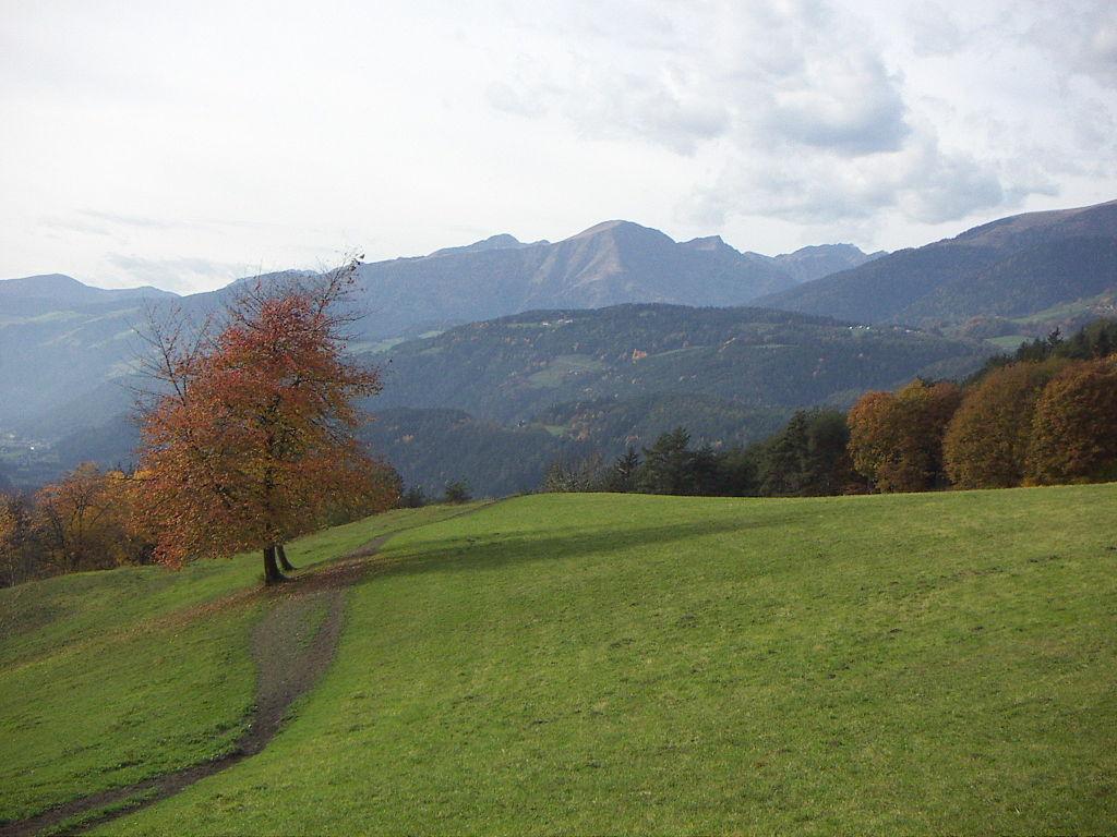 Smak jabłek nad Lago di Ledro – zdjęcie 4