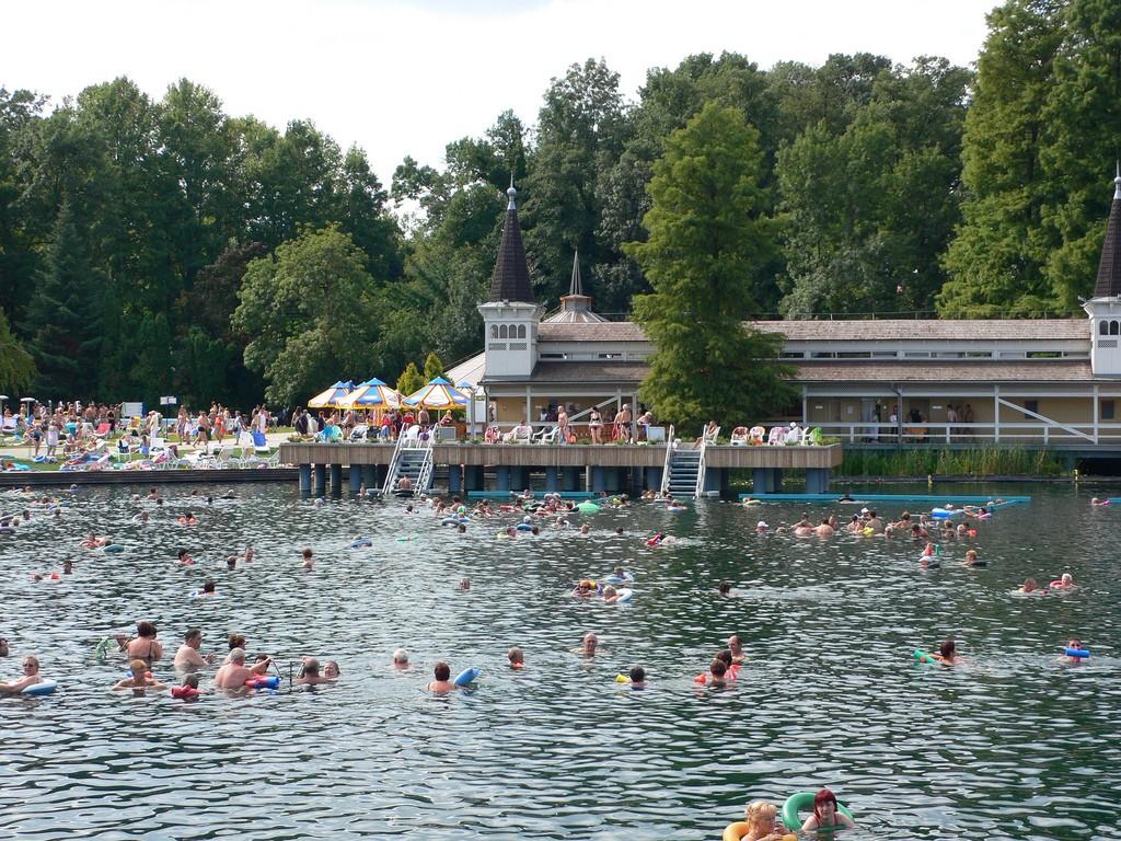 Heviz - węgierskie wino i indyjskie lotosy – zdjęcie 2