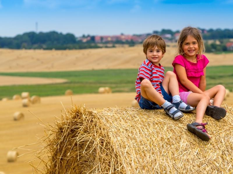 Chain of attractions in eastern Poland – image 1