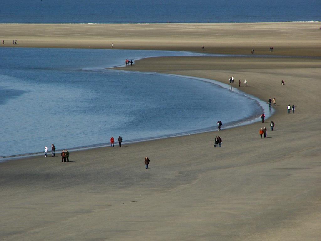 Raj dla alergików - Borkum – zdjęcie 3