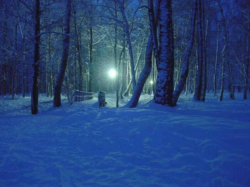 Visiting St. Nicholas, a trip to Rovaniemi – image 4