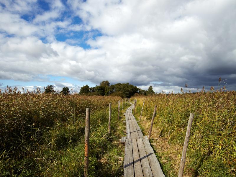 Finland - Kotka – image 1
