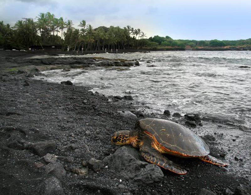 Colorful beaches – image 4