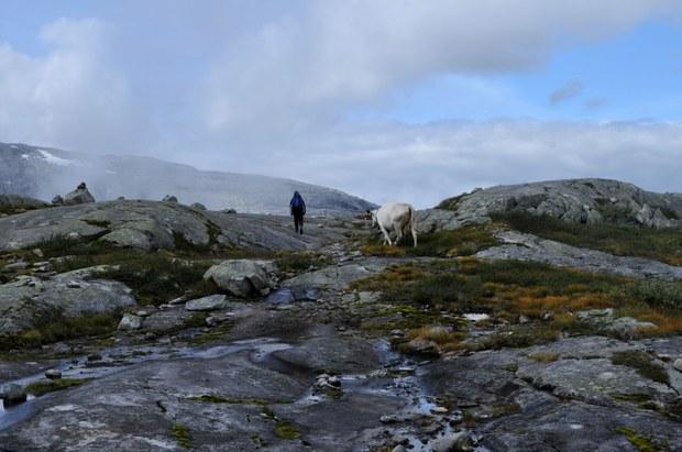 At the End of the World -Stavali – image 4