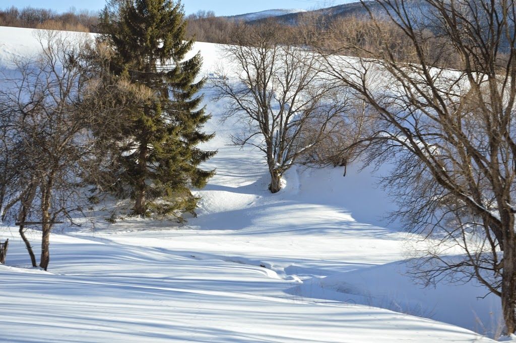 POMYSŁ NA WEEKEND - Bieszczady – zdjęcie 7