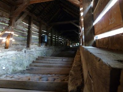 Rumunia 2011 - cz.2 - nad morzem – zdjęcie 101