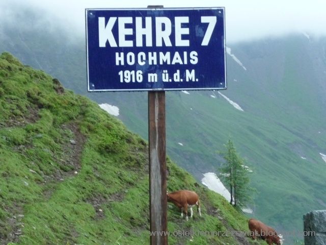 ALPEJSKIM SZLAKIEM – zdjęcie 123