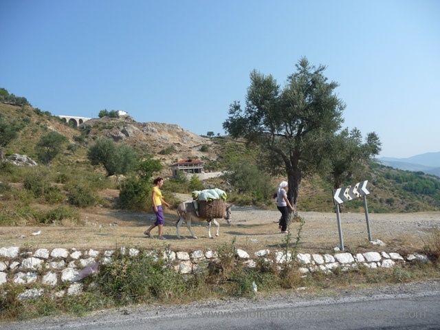 BAŁKANY OSIOŁKIEM - ALBANIA 2011 – zdjęcie 16