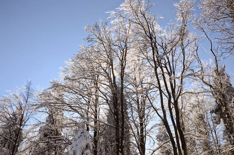 POMYSŁ NA WEEKEND - Beskid Niski  – zdjęcie 19