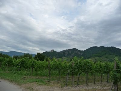 ALPEJSKIM SZLAKIEM – zdjęcie 13