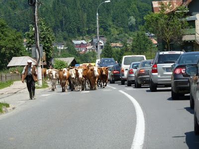 Rumunia 2011 - cz.2 - nad morzem – zdjęcie 50