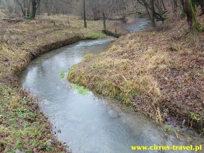 Pieskowa Skała - Ojców – zdjęcie 12