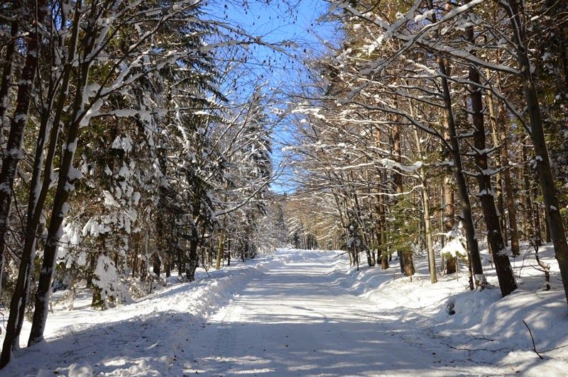 POMYSŁ NA WEEKEND - Beskid Niski  – zdjęcie 17